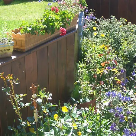 Haus Cornelia Appartement *